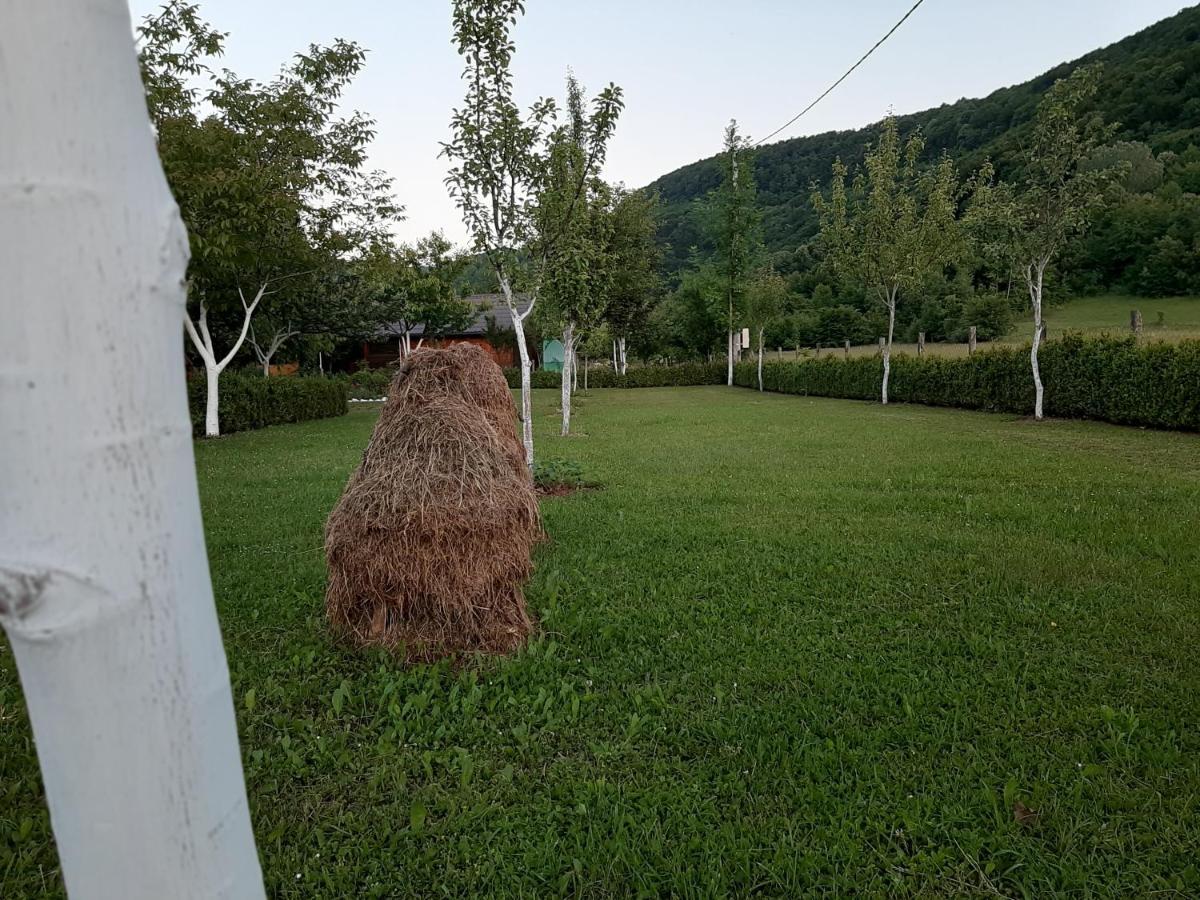 Rest House Ripac Prascijak Exterior photo